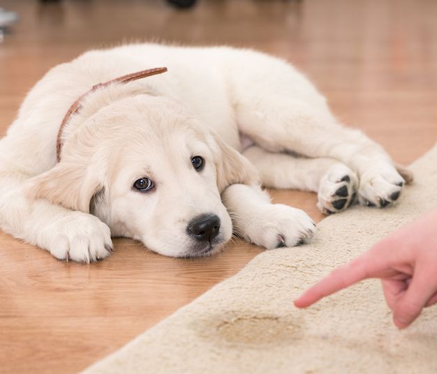 Question of the Week